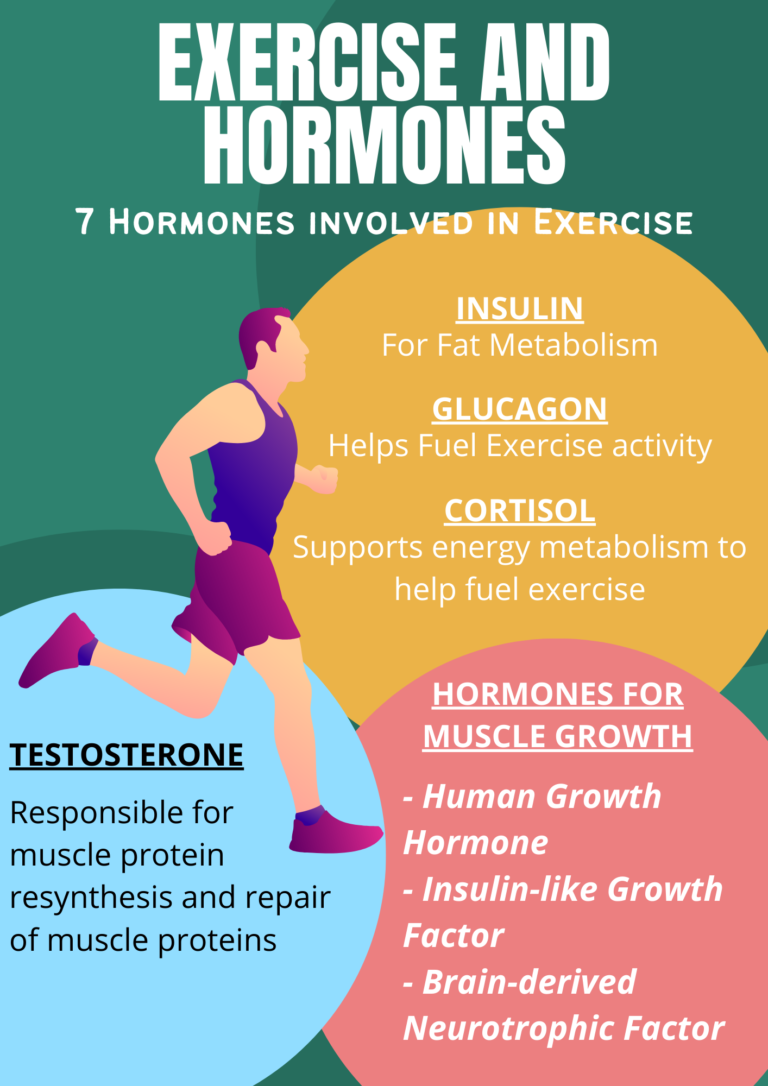 What Hormones Are Produced During Exercise