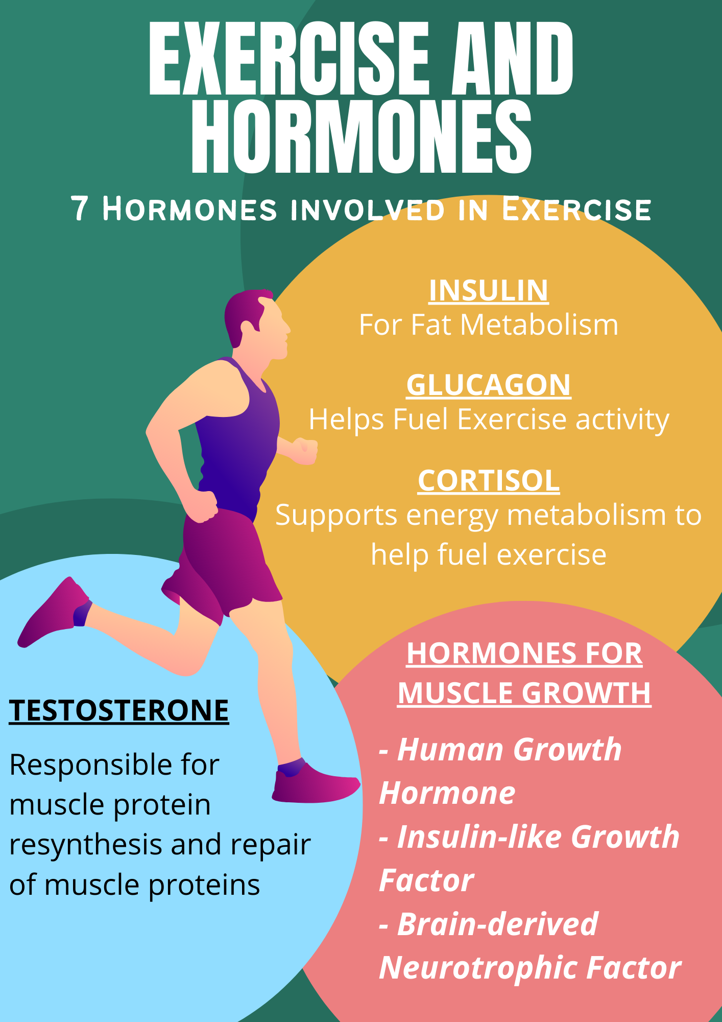 Exercise And Hormones 7 Hormones Involved In Exercise Best Health Philippines